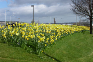 Thistle Aberdeen Airport�̒�