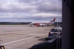 �Ђ���Ƃ��Ă���ɏ��́H�D�D�D