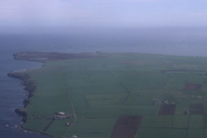 Scotland�̕��i