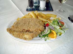 ������Ǝ��s�������t���C