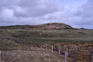 Scotland�̕��i���Ă݂�Ȃ���Ȃ�