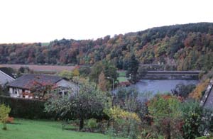 ���̌�����i�F