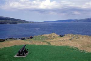 �C����������C��