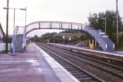 �w�̕�����