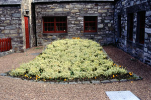 Blair Athol Distillery