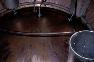 �E�H�b�V���X�e�B���̓���