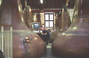 �X�e�B���n�E�X