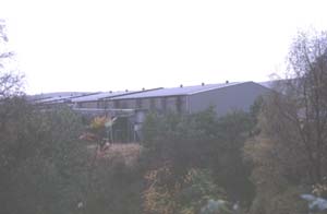 Pittyvaich Distillery?