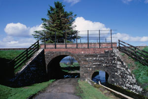 Sea Breeze of Dornoch Firth