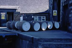 �������܏o�ג�