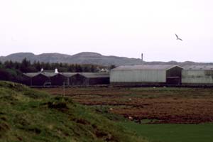 Laphroaig Distillery