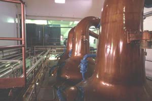 Macallan�̃E�H�b�V���X�e�B��