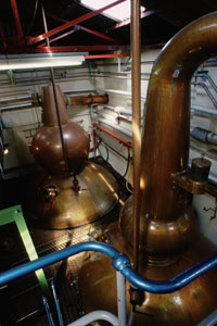 Pot Still