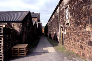 Springbank Distillery