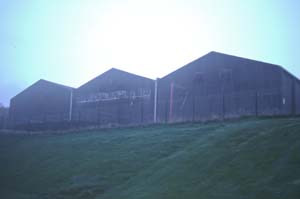 �E�F�A�n�E�X