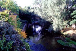 �������̗��𗬂��Water of Leith