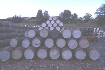 �M�������ς�