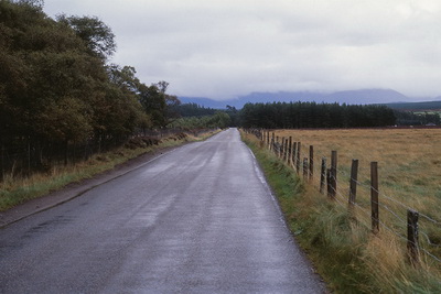 Long & Straight Load