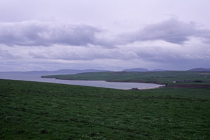 Highland Park���猩��Scapa Bay