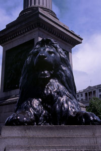 ���C�I���̓���