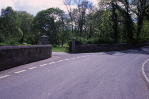 ������Ɏc��Â���