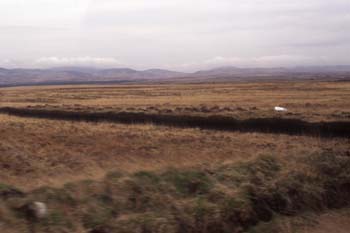 ��`�߂��̃s�[�g�̎��