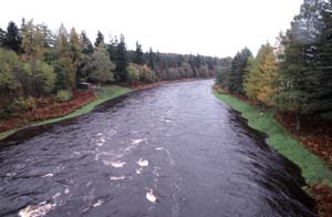 �X�y�C��̋��̏ォ��