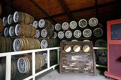 ���{�鋬�������̃E�F�A�n�E�X