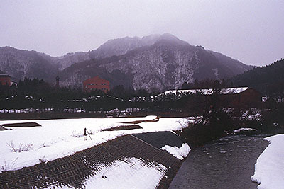 �V���̌������ɏ�������������