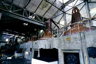 �X�e�B���n�E�X