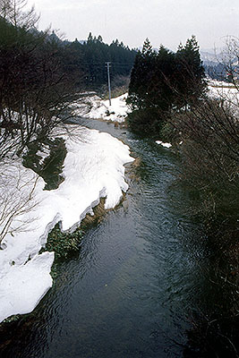 �j�b�J�����猩��L����